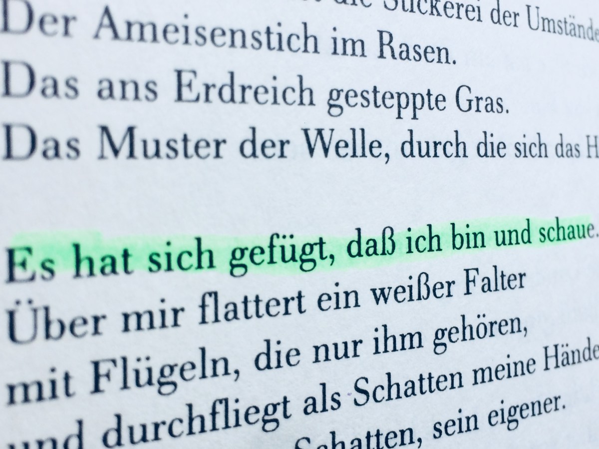 Auf wiedersehn.Bis morgen